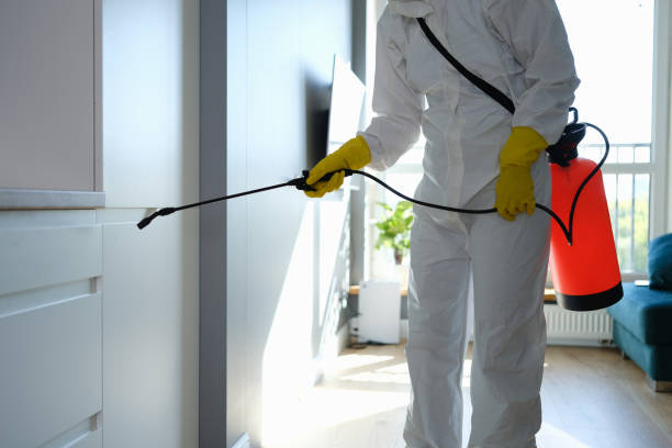 Best Mold Removal and Inspection  in Farngton, MI