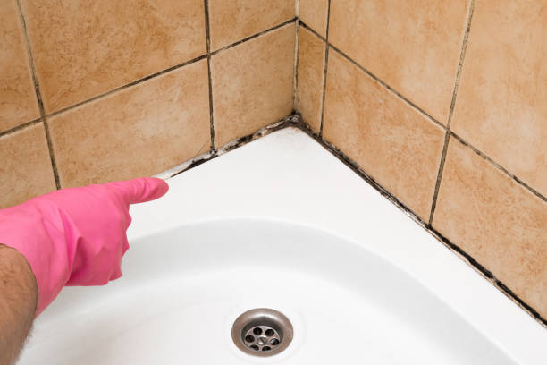 Best Local Mold Removal Service  in Farngton, MI